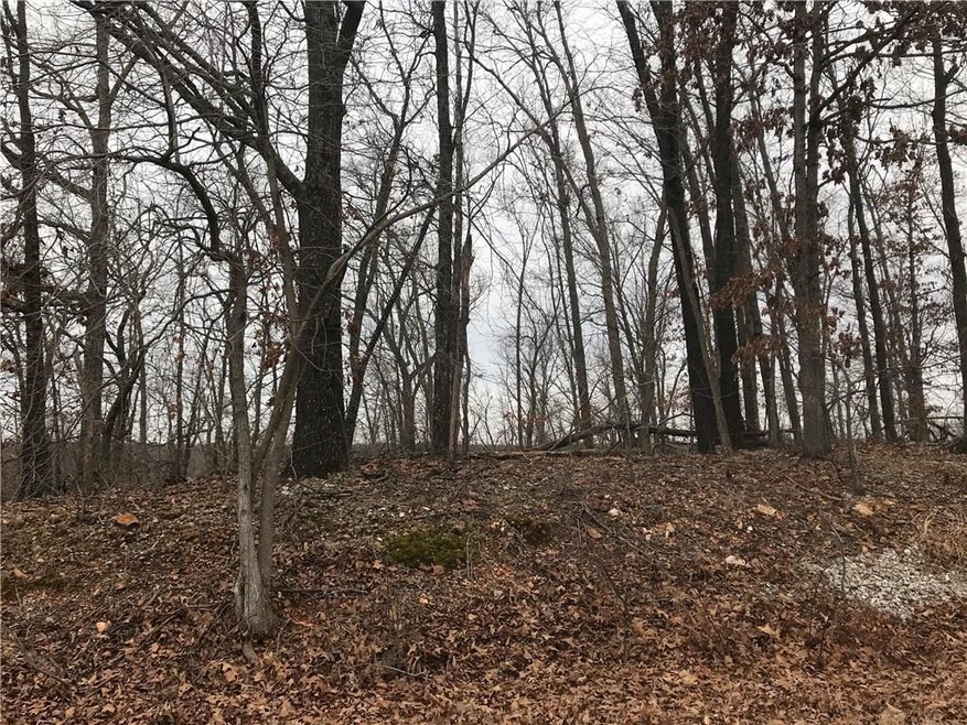 0 Cullen Hills Ln, Bella Vista, AR 72715 - photo 1