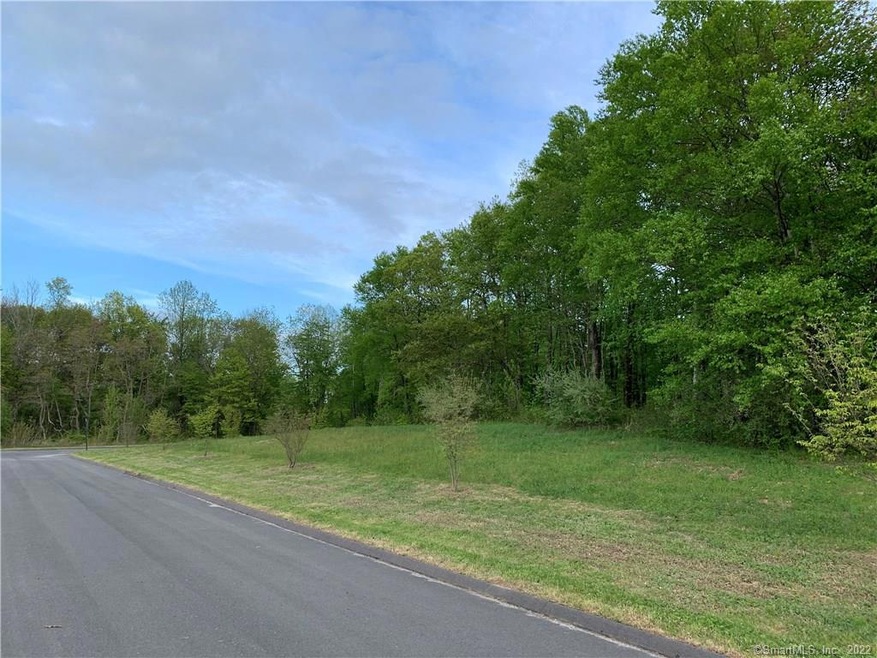 17 Sebastian Trail, Newtown, CT 06470 - photo 1