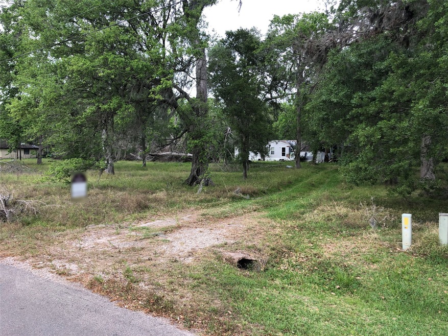 17701 County Road 945, Brazoria, TX 77422 - photo 1