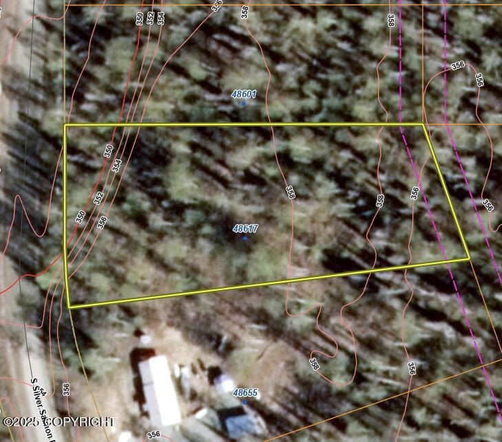 48617 S Silver Salmon Dr, Willow, AK 99688 - photo 1
