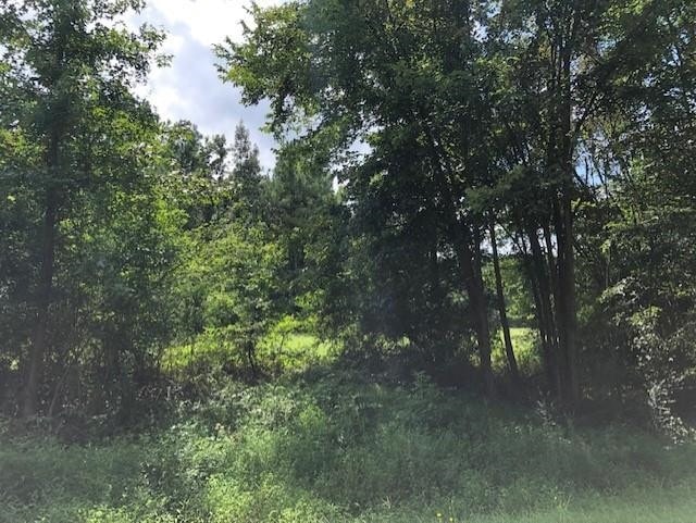 18.89 Ac. Brewer Rd, Louisburg, NC 27549 - photo 1