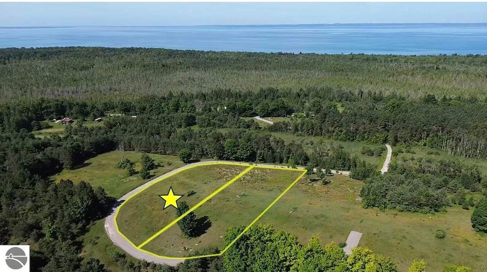 000 Fox Mission Trail unit 10, Ellsworth, MI 49729 - photo 1