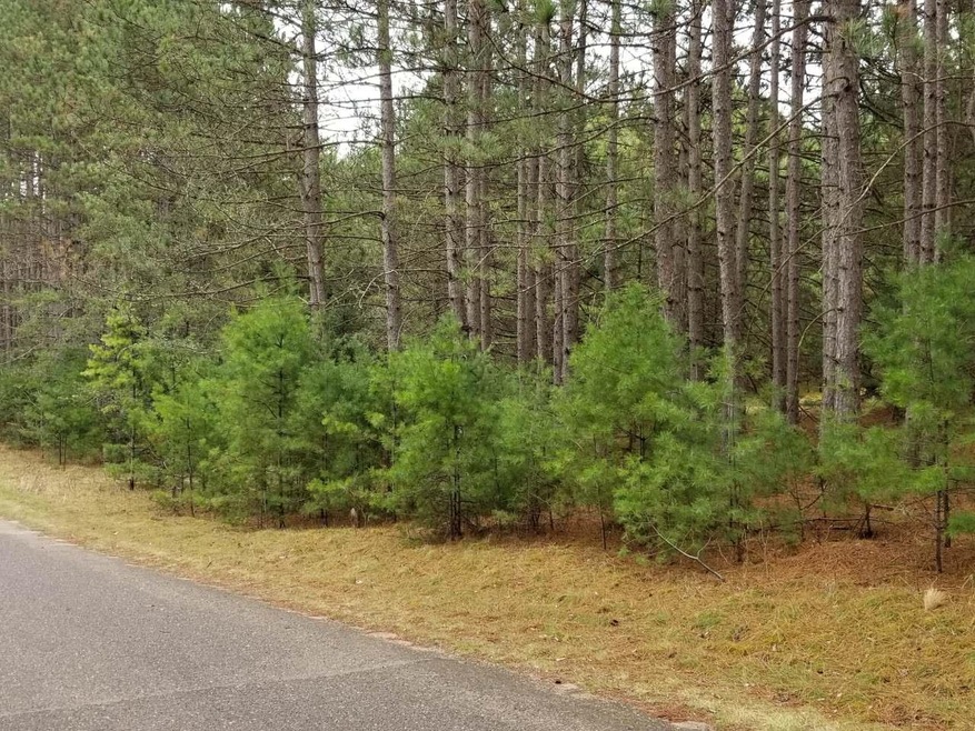ON Forest Rd, Tomahawk, WI 54487 - photo 1