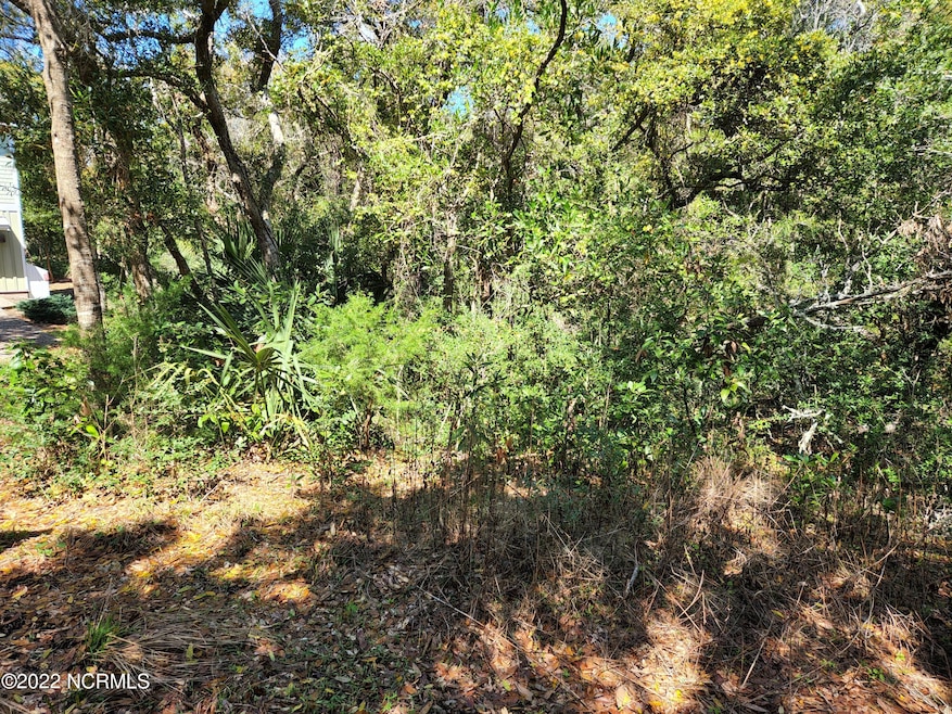 17 Musket Ct, Bald Head Island, NC 28461 - photo 1