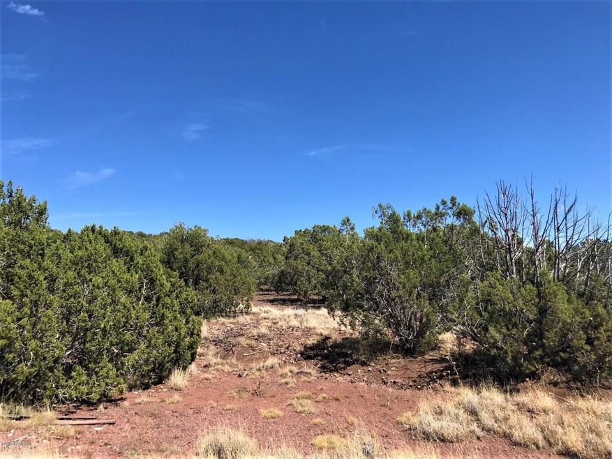 48275 N Steve Ln, Ash Fork, AZ 86320 - photo 1