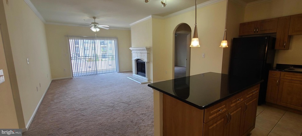 12900 Centre Park Cir unit 303, Herndon, VA 20171 - photo 1