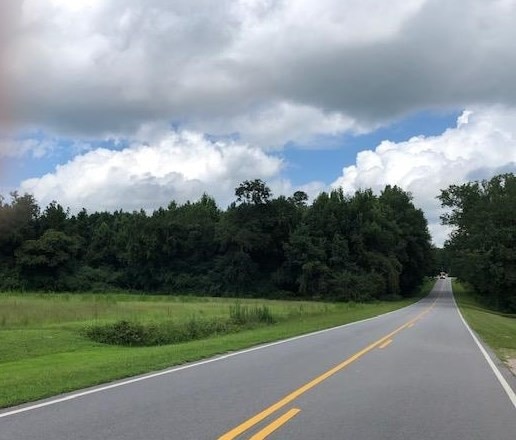 20.238 Brewer Rd, Louisburg, NC 27549 - photo 1