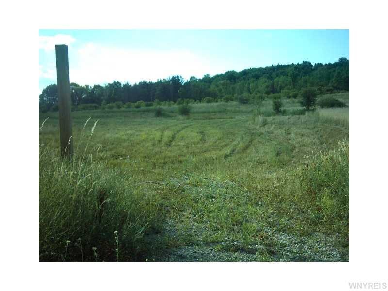 Land.