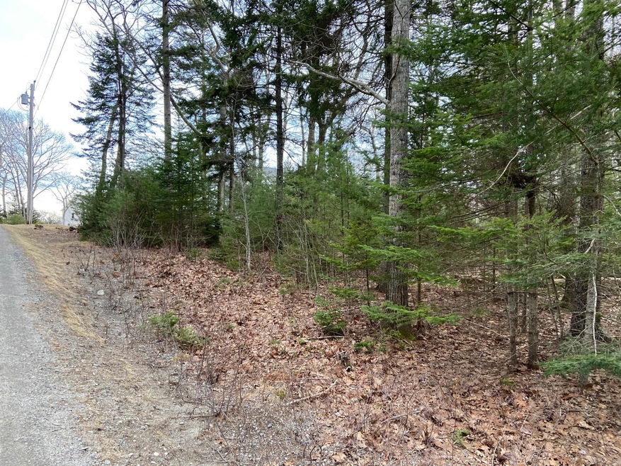 0 Russell Rd unit 1486801, Bristol, ME 04539 - photo 1