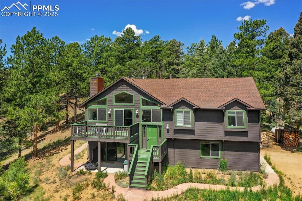 4041 Trout Creek Rd, Woodland Park, CO 80863 - photo 1