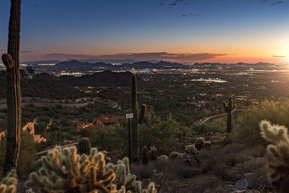 Silverleaf lot 1871