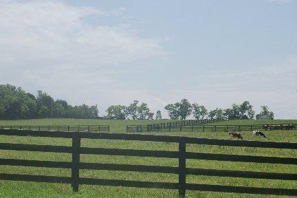 1911 Keene-Troy Rd, Nicholasville, KY 40356 - photo 1