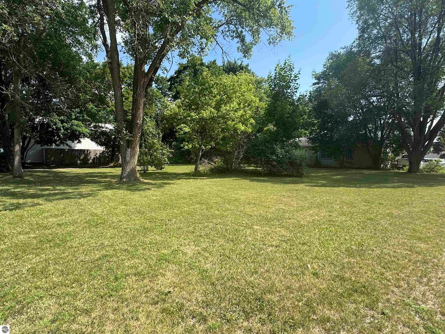 222 N Main, Lake City, MI 49651 - photo 1