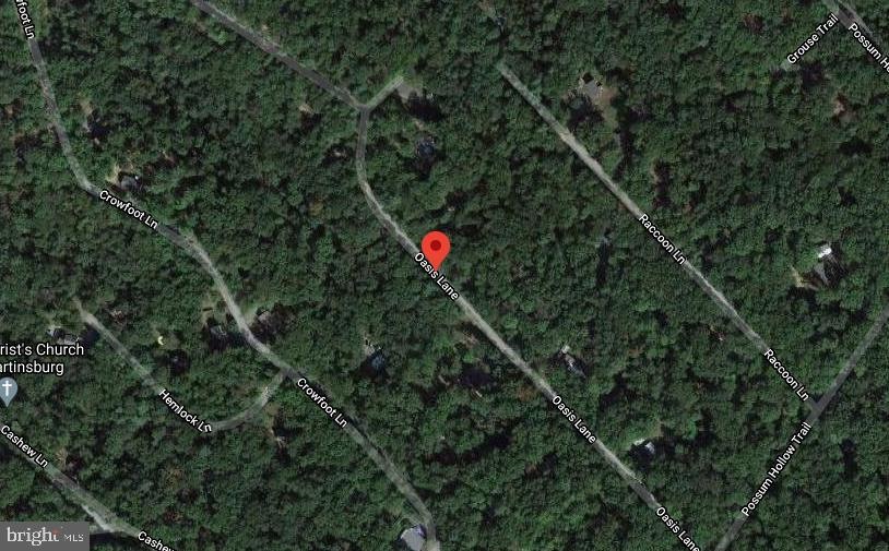 Lot 173 Oasis Ln, Valley, WV 25420 - photo 1