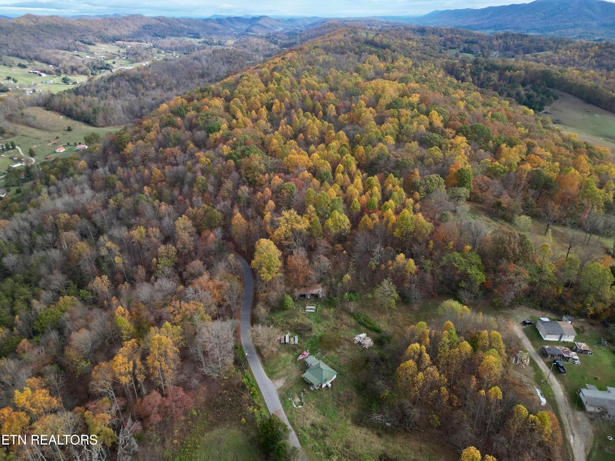 dji_fly_20241108_101510_816_173108328459