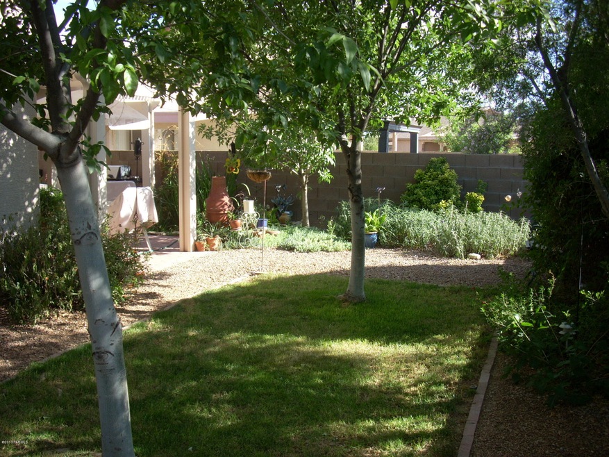 Shaded grass
