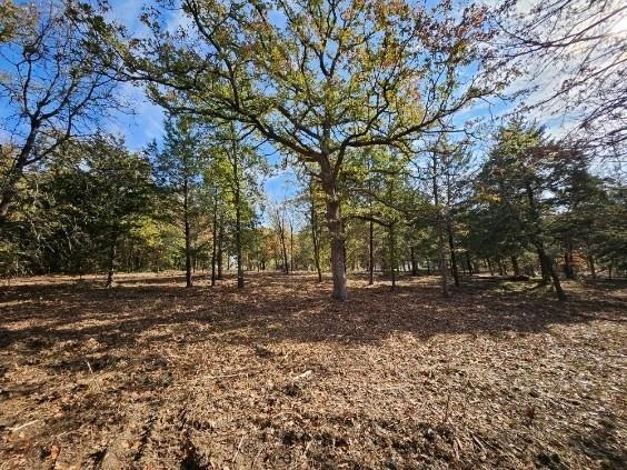 1503 S French Ave, Denison, TX 75020 - photo 1