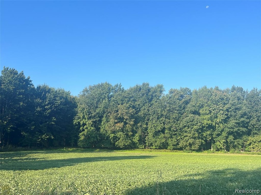 02 Howland Rd, Almont Township, MI 48003 - photo 1