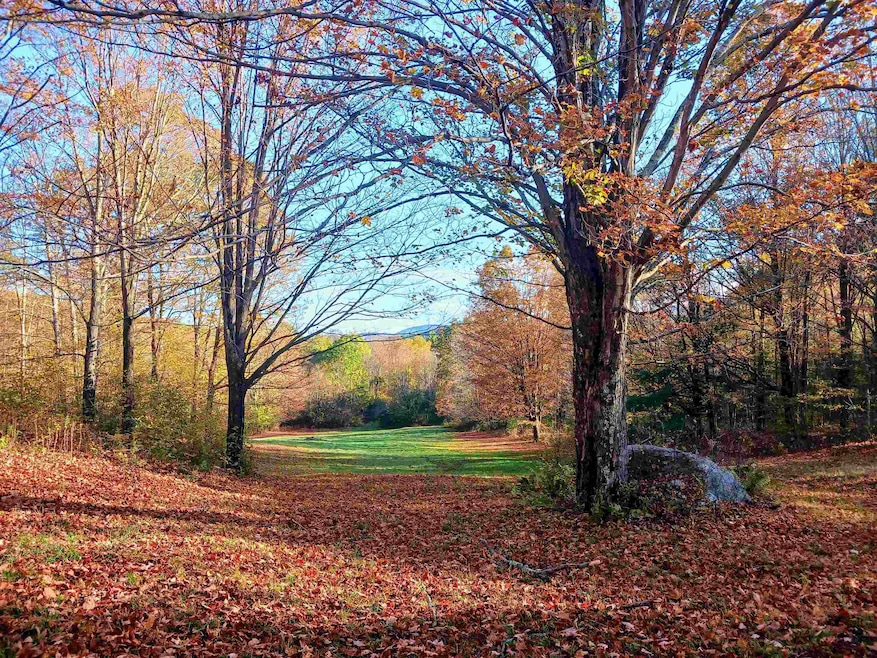 1096 Betts Bridge Rd, West Pawlet, VT 05775 - photo 1