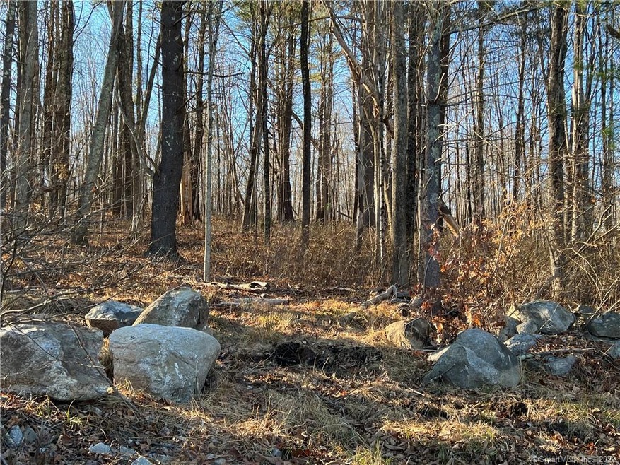 128 Murdock Rd, Pomfret, CT 06259 - photo 1