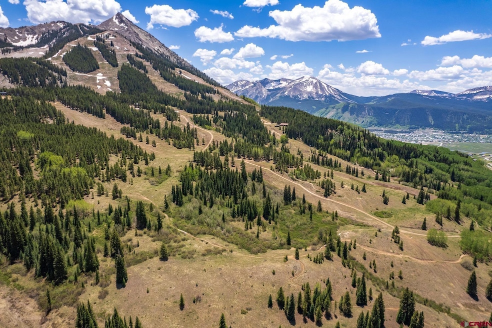E36 Prospect Dr, Mt. Crested Butte, CO 81225 - photo 1