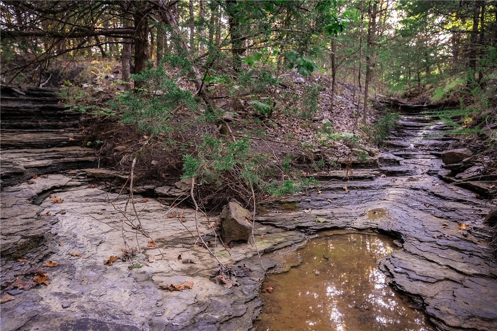 14630 E Wallin Mountain Rd, West Fork, AR 72774 - photo 1