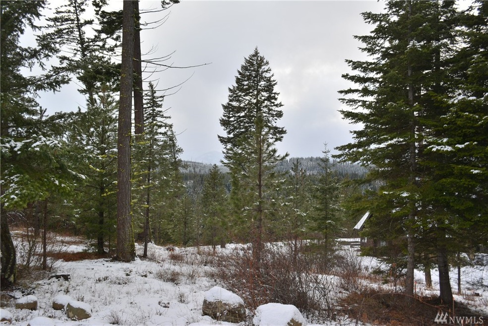 271 Kokanee Lp, Cle Elum, WA 98922 - photo 1