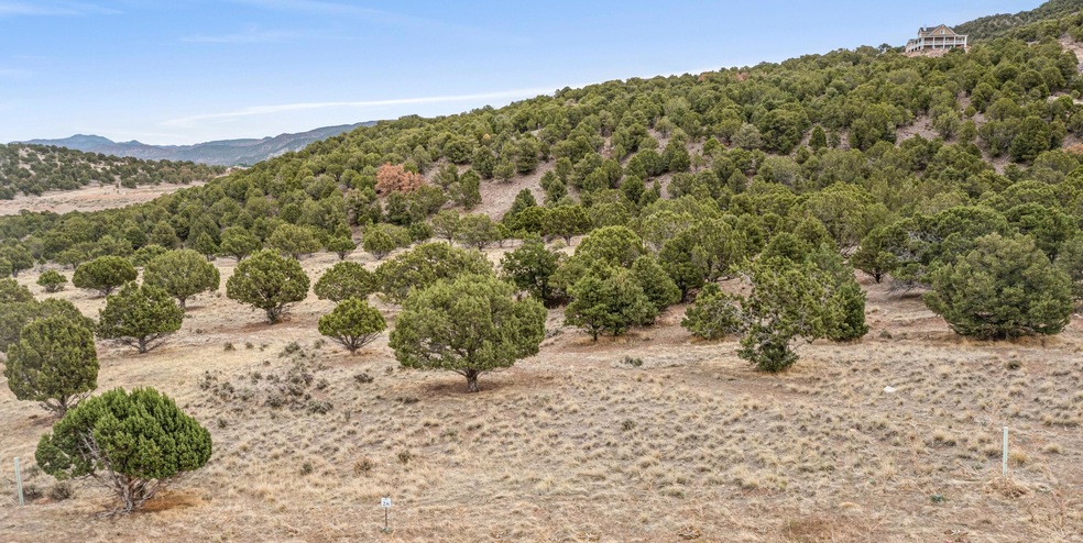 Lot 28