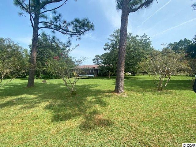 237 Holly View Ln, Loris, SC 29569 - photo 1