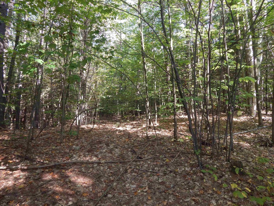 Lot 22 Grove St unit 22 Section B, Newbury, NH 03255 - photo 1