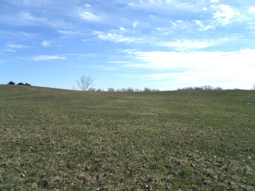 View of the lot from 2 Mile NE