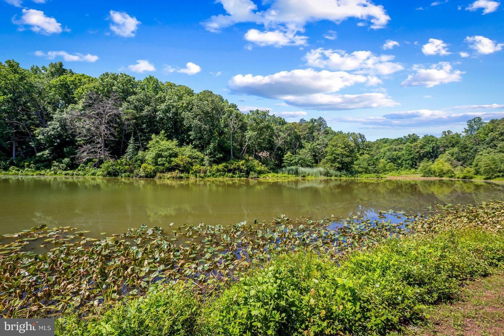 2588 Tarnans Branch Crossing unit CRS, Davidsonville, MD 21035 - photo 1