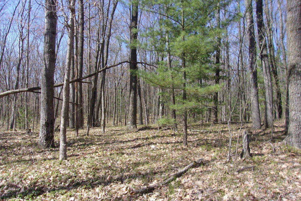 TBD Vanden Trail, Lincoln Township, MI 48625 - photo 1