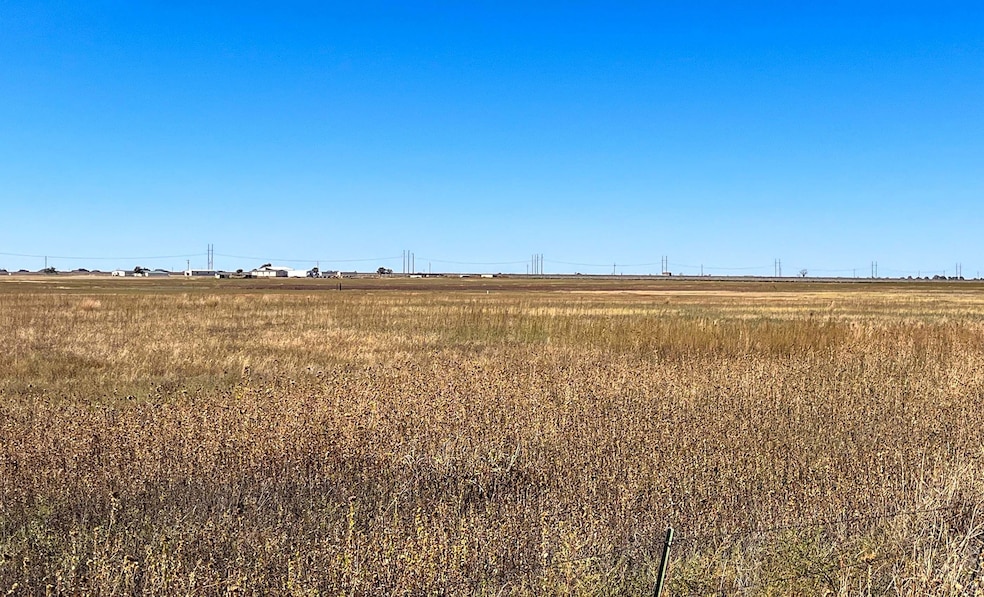 unlisted-address, Shallowater, TX 79363 - photo 1