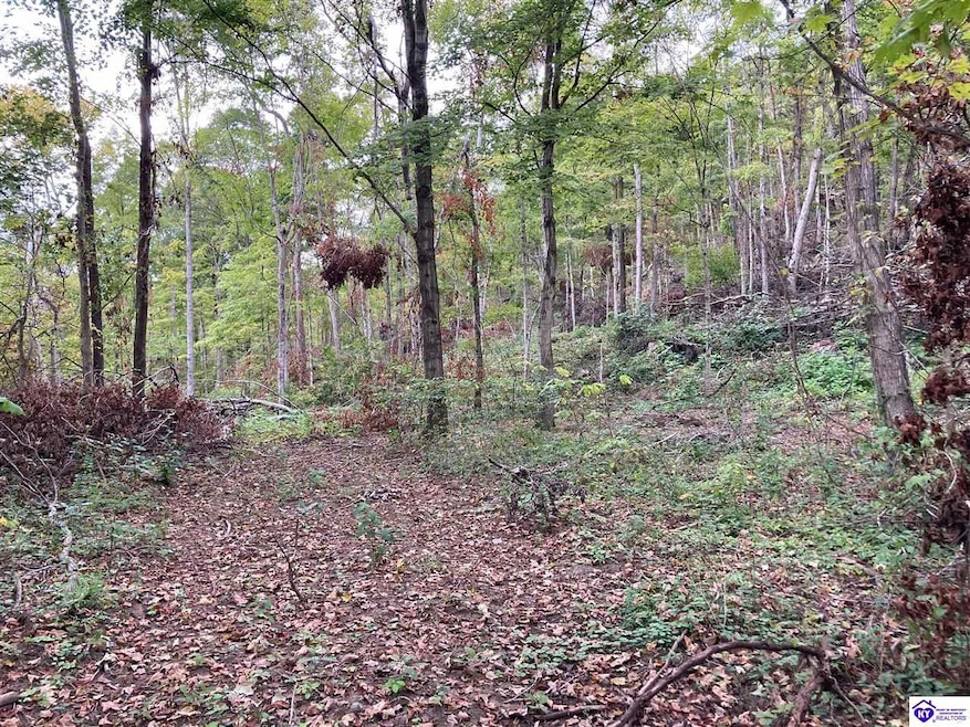 1633 Boone Hollow Rd, Battletown, KY 40104 - photo 1