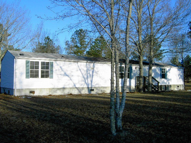 Main View