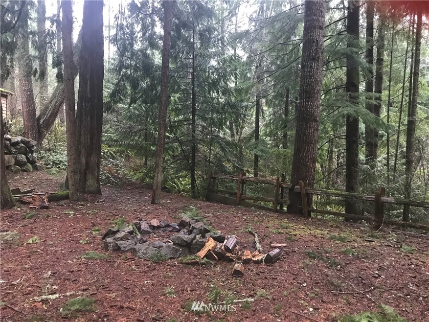 22237 Bluewater Dr SE, Yelm, WA 98597 - photo 1