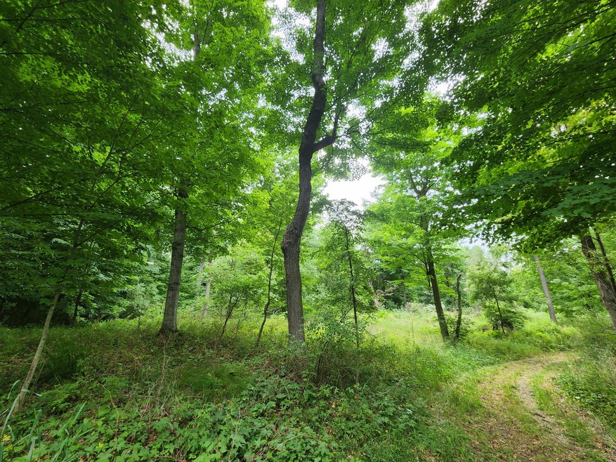 01 1 Mile Rd, Reed City, MI 49677 - photo 1