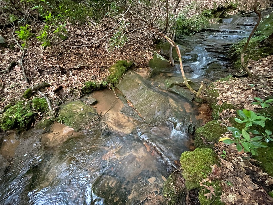 2.29 Kristen Ln, Ellijay, GA 30540 - photo 1