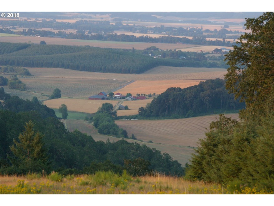 0 SW Latham Rd, McMinnville, OR 97128 - photo 1