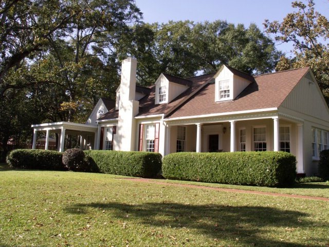 Main View