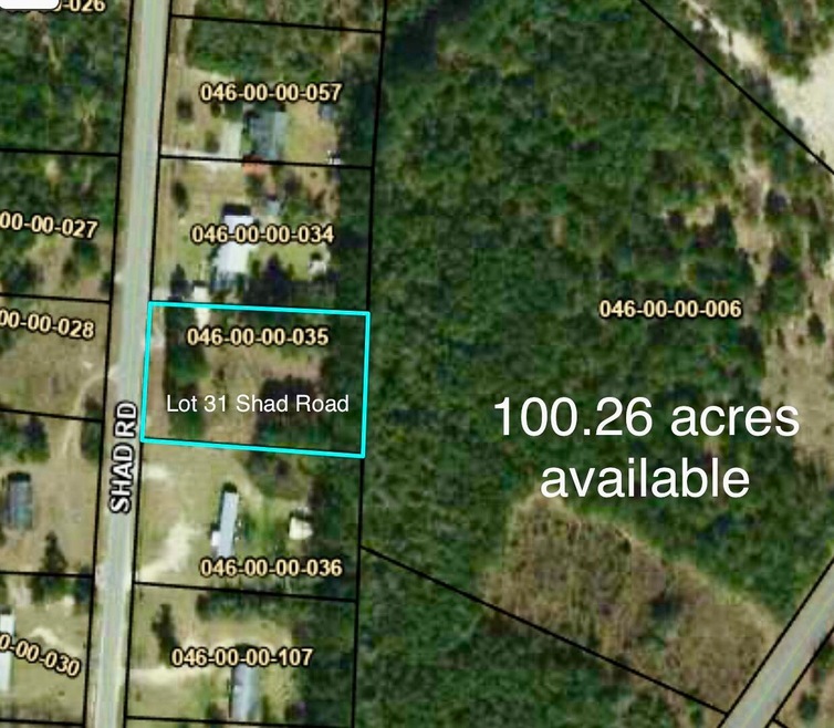 Lot 31 Shad Road