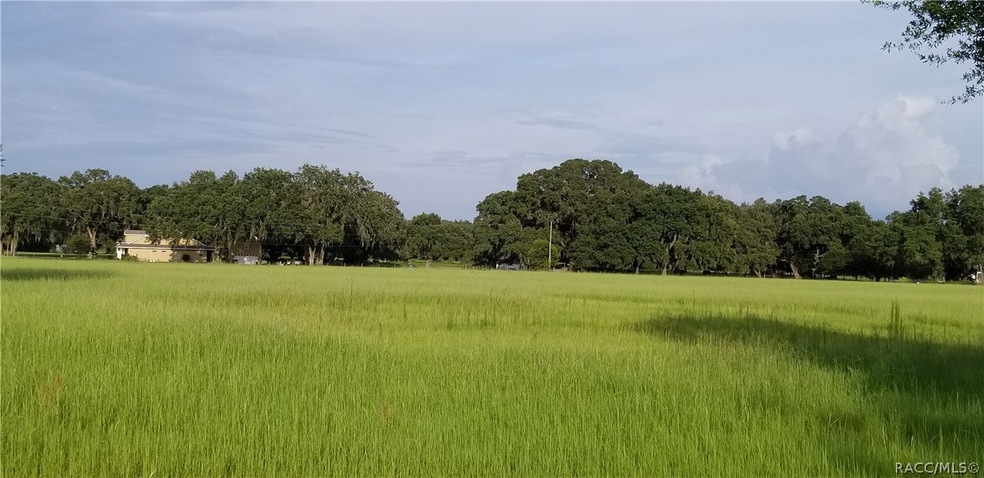 0 Sutton Oaks Ln unit 780622, Zephyrhills, FL 33541 - photo 1