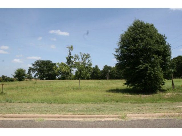 2.84 acr NW Stallings Dr, Nacogdoches, TX 75961 - photo 1