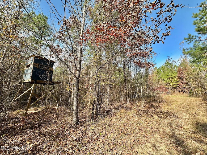 3 County Road 3122, McCool, MS 39108 - photo 1