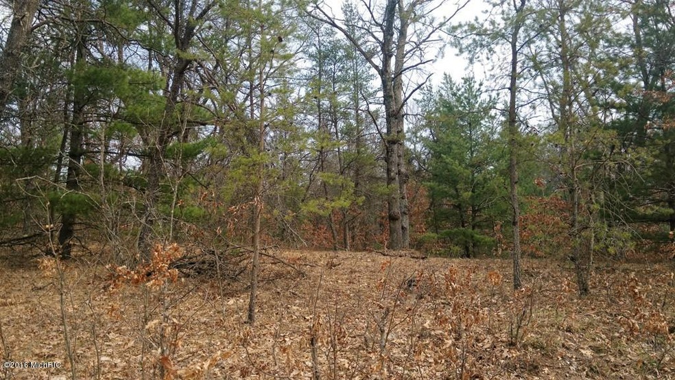 VL Par A S Peacock Trail, Baldwin, MI 49304 - photo 1