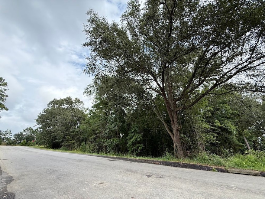 0 Live Oak Ln unit LotWP001, Barnwell, SC 29812 - photo 1