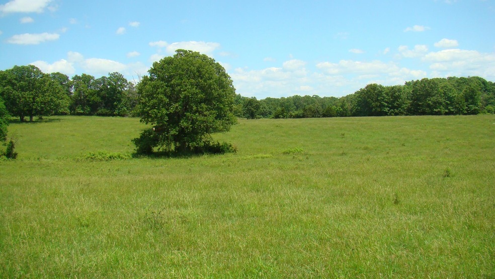 DSC05092