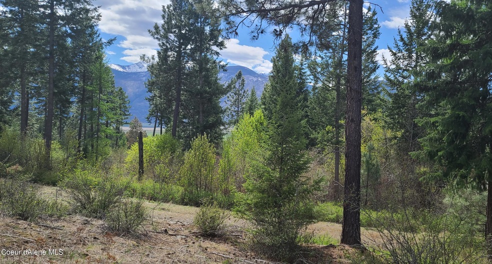View from Natural Home Site