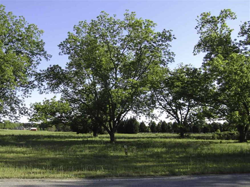 Lot 22 Highway 42, Byron, GA 31008 - photo 1